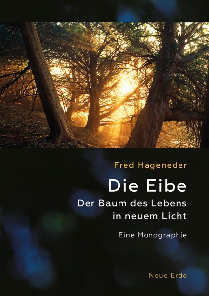 kriechende rose Kriechrose (Rosa arvensis) main image 0