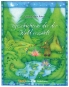 morepic-1