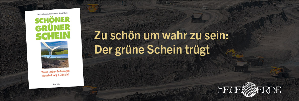 10-Schöner-grüner-Schein