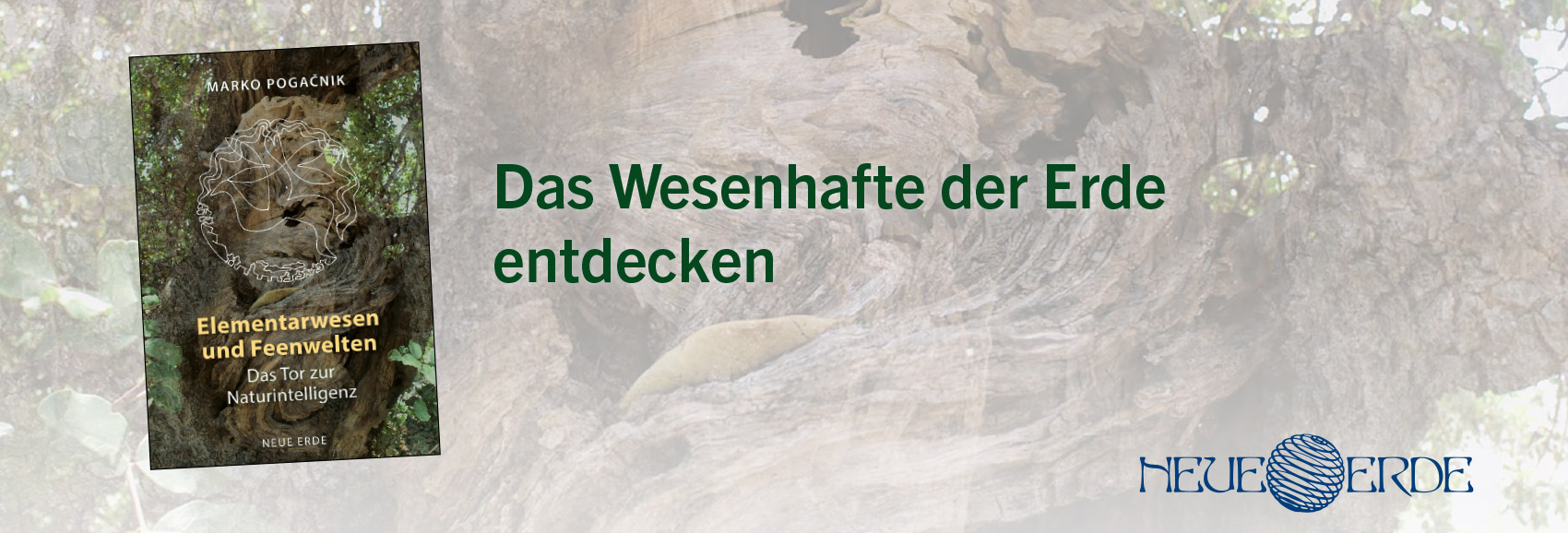 6-Elementarwesen und Feenwelten